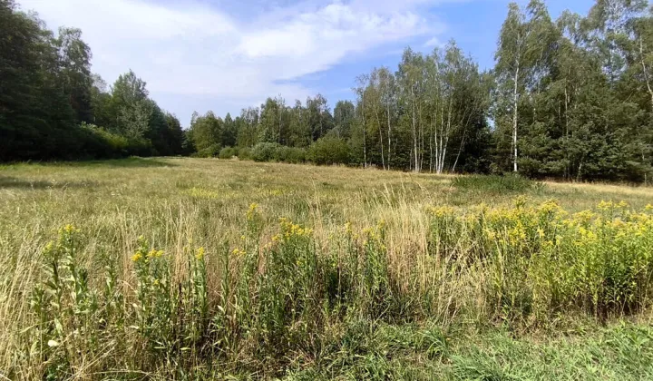 Działka rolna Wólka Podleśna