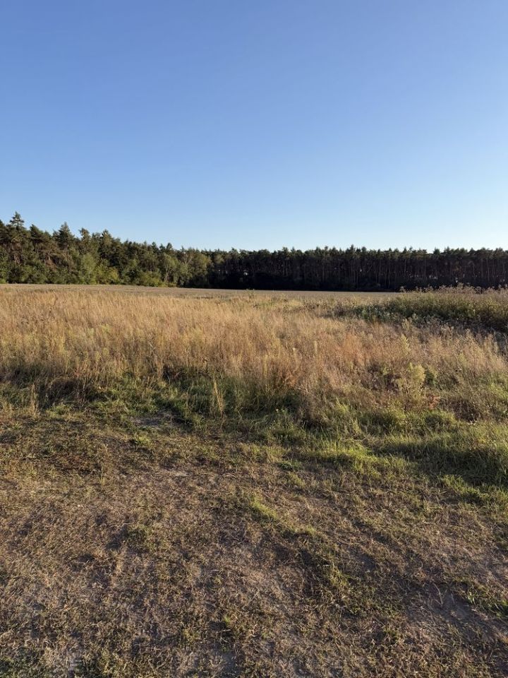 Działka budowlana Betkowo, ul. Cisowa. Zdjęcie 8