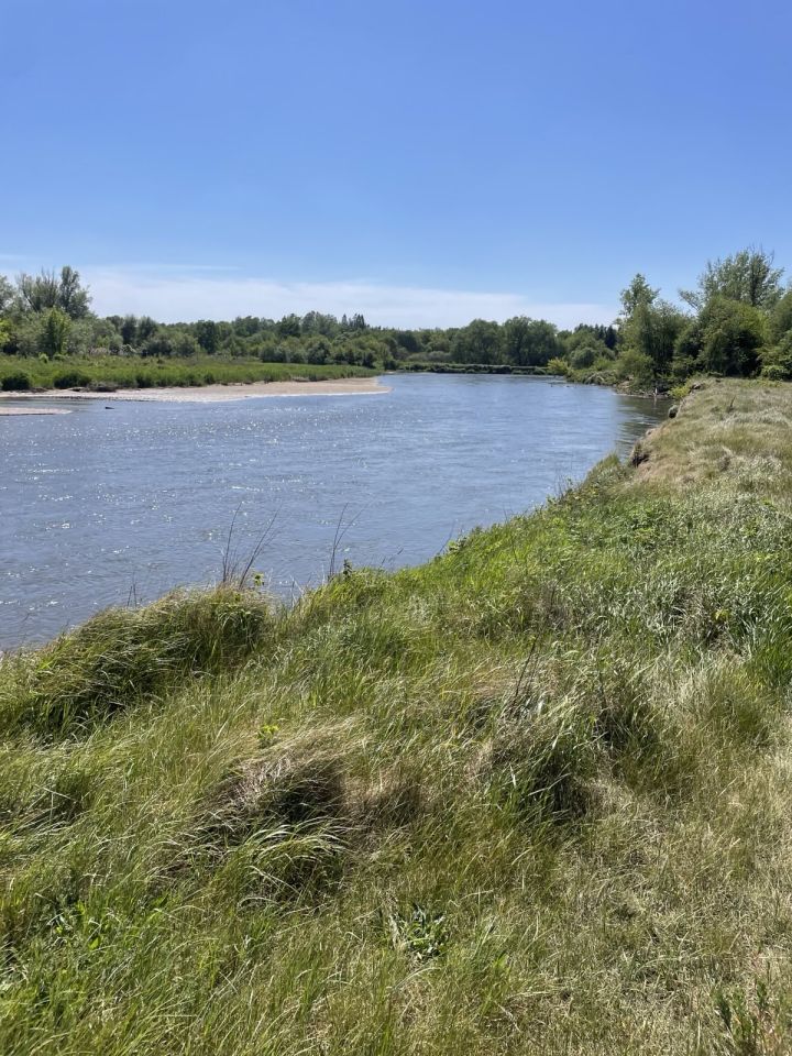 Działka budowlana Mniszew. Zdjęcie 6