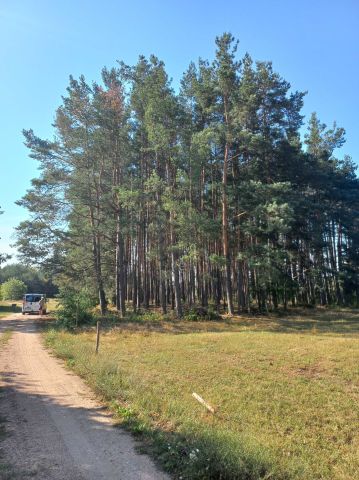 Działka rekreacyjna Wydmusy. Zdjęcie 1