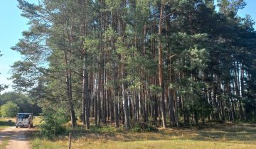 Działka rekreacyjna Wydmusy