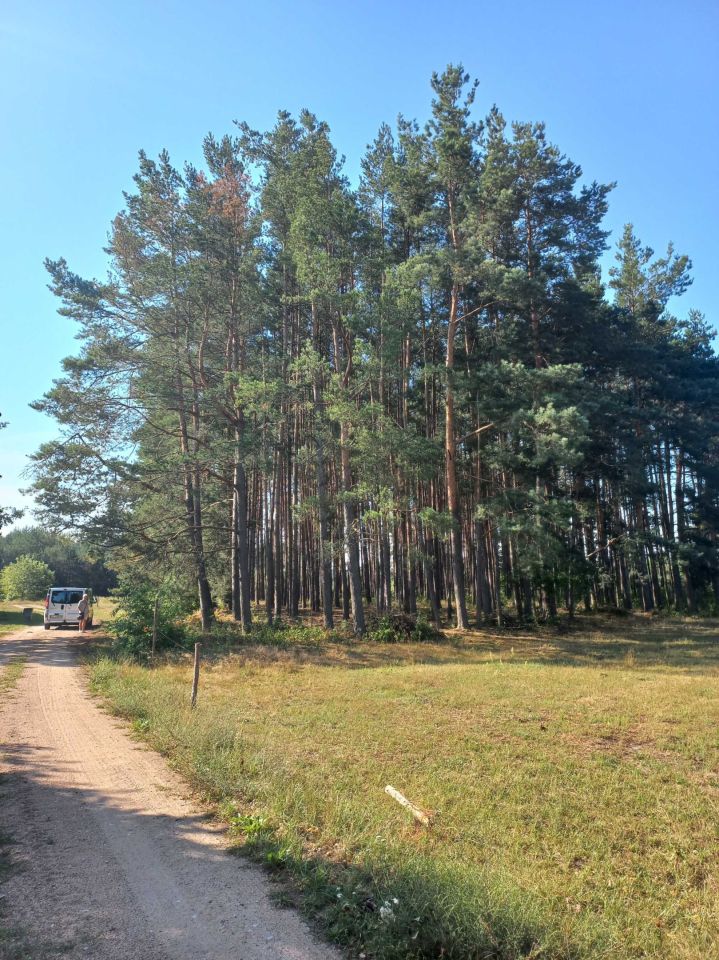 Działka rekreacyjna Wydmusy