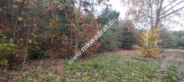 Działka budowlana Tłumy. Zdjęcie 14