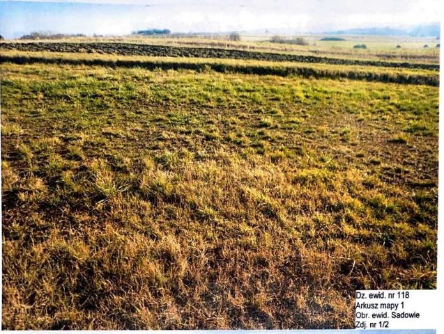 Działka budowlana Sadowie. Zdjęcie 1