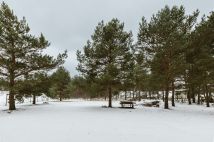 Działka budowlana Małe Gacno. Zdjęcie 3