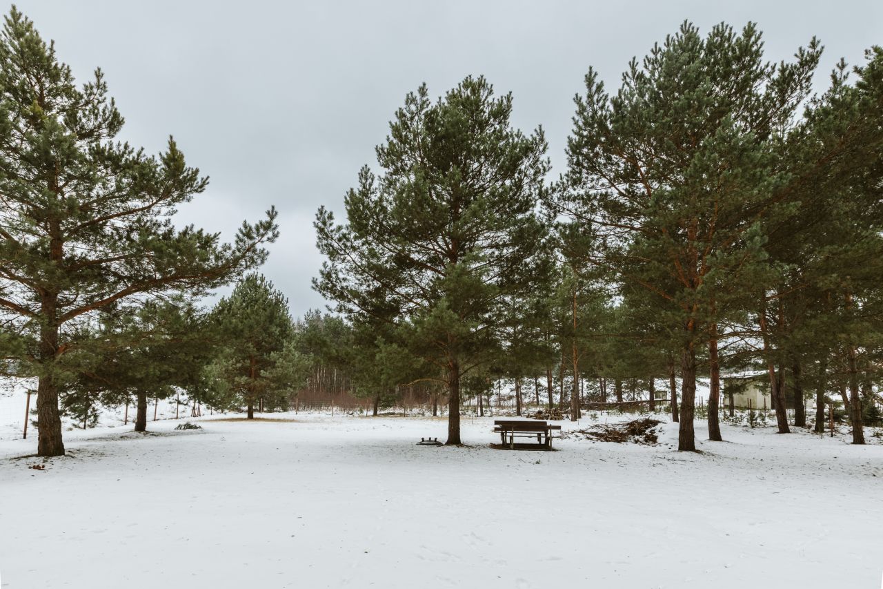 Działka budowlana Małe Gacno. Zdjęcie 4