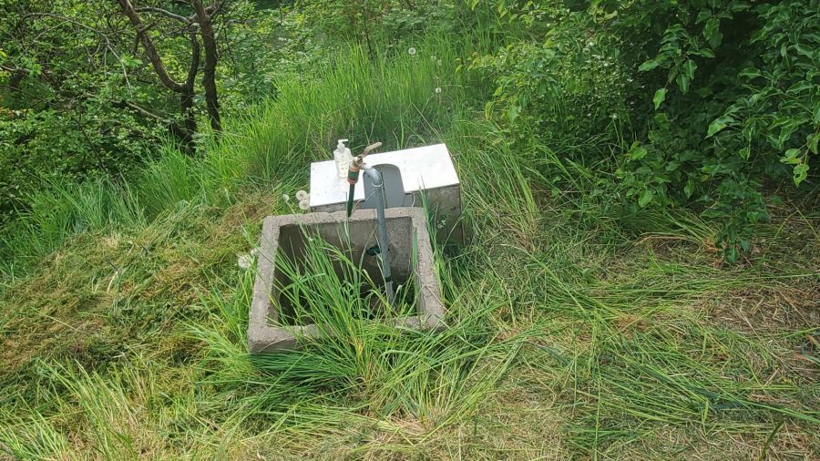 Działka rod Gdańsk. Zdjęcie 16