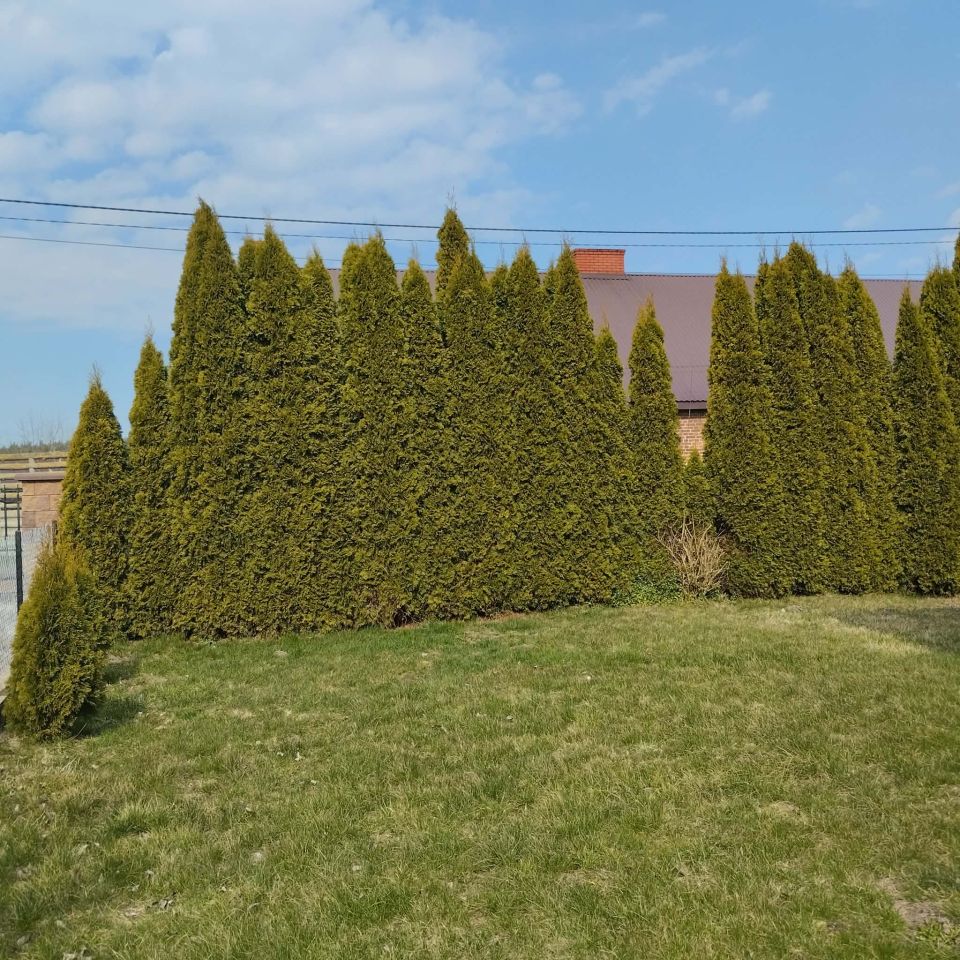 siedlisko, 3 pokoje Stara Sławogóra, Stara Sławogóra. Zdjęcie 7