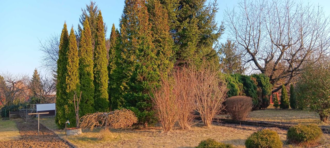 Działka rod Świdnik. Zdjęcie 6