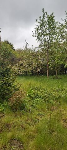 Działka rod Gdańsk Rębiechowo. Zdjęcie 1