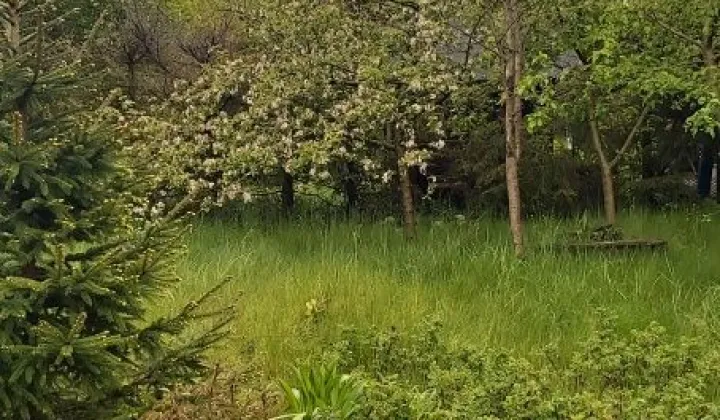 Działka rod Gdańsk Rębiechowo