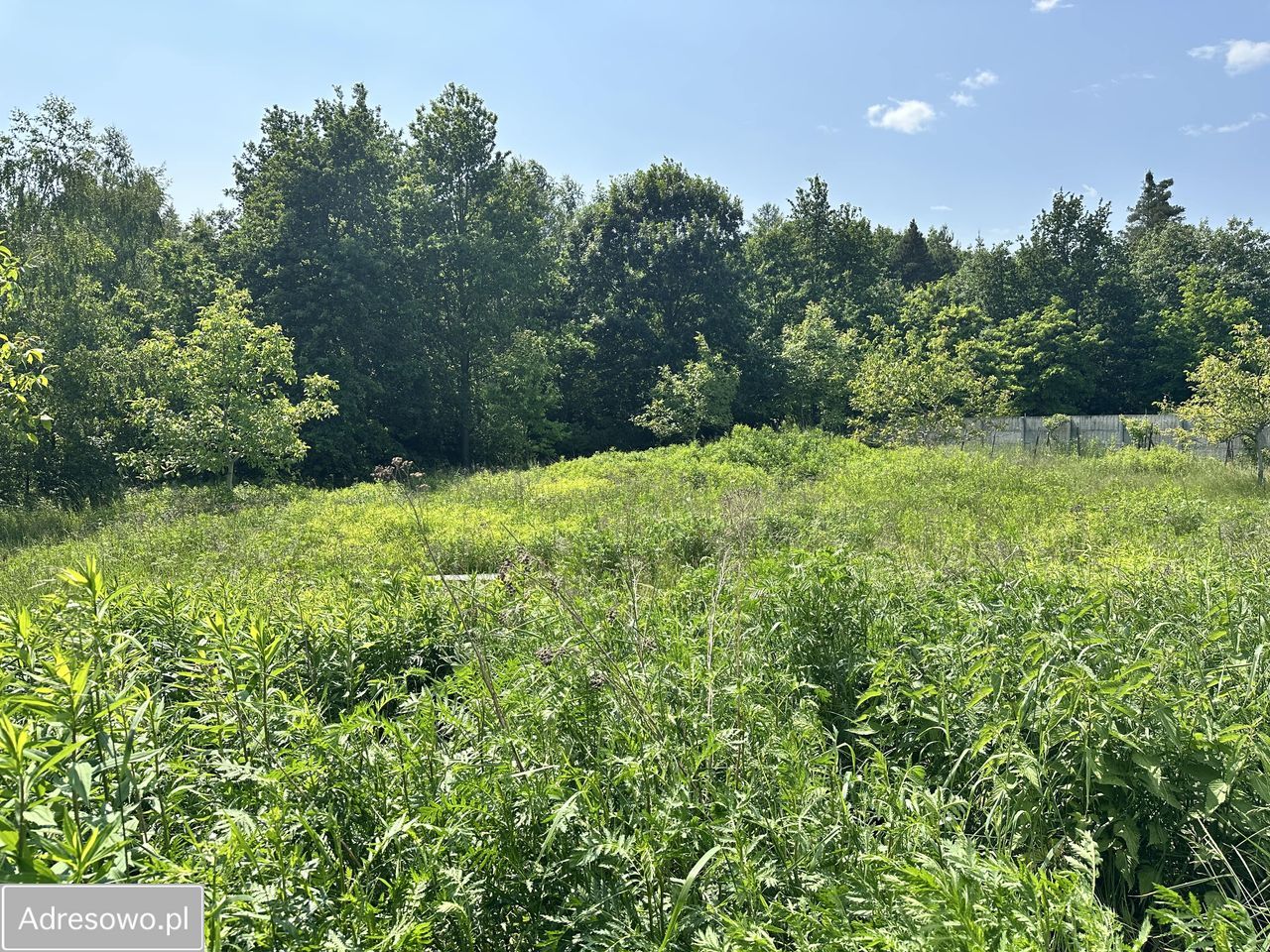 Hala/magazyn Sieniawa. Zdjęcie 8