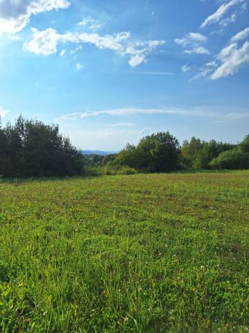 Działka rolna Golcowa. Zdjęcie 1