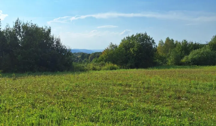 Działka rolna Golcowa