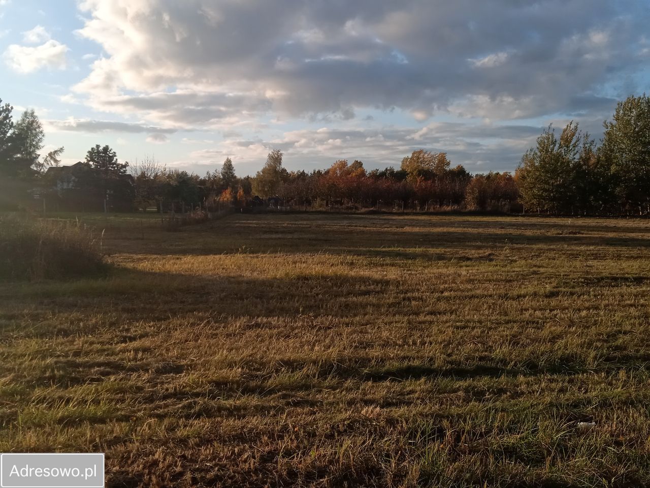 Działka budowlana Tarczyn, ul. Wąska