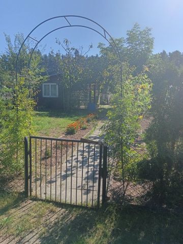 Działka rod Lisów. Zdjęcie 1