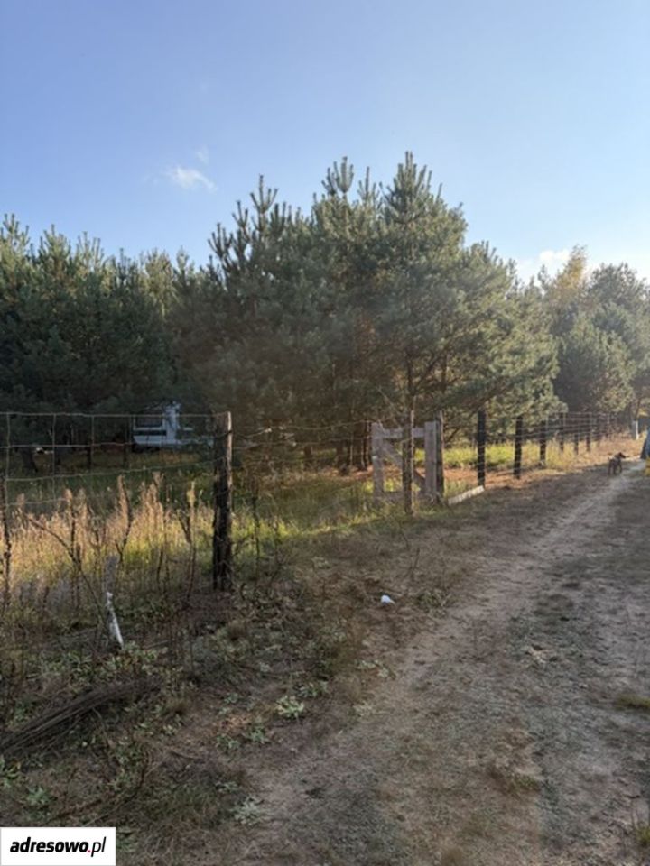 Działka budowlana Zambski Kościelne. Zdjęcie 14