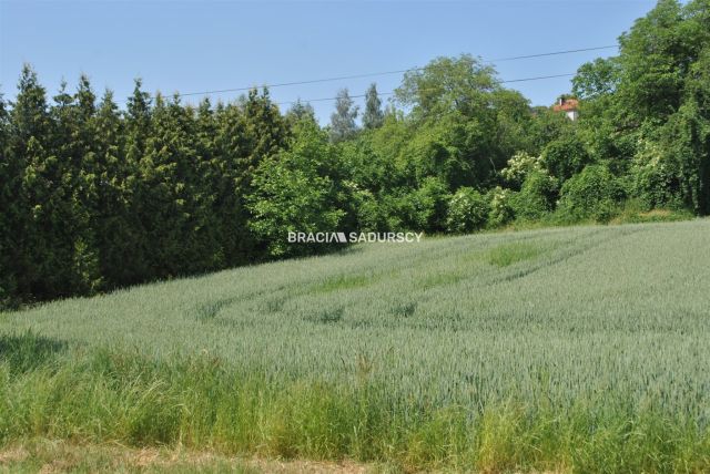 Działka inwestycyjna Brzezie. Zdjęcie 8