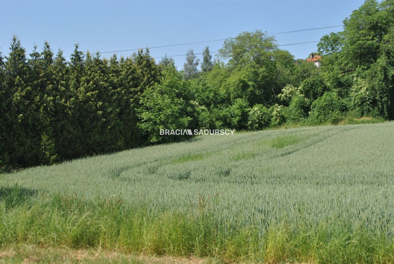 Działka inwestycyjna Brzezie. Zdjęcie 8