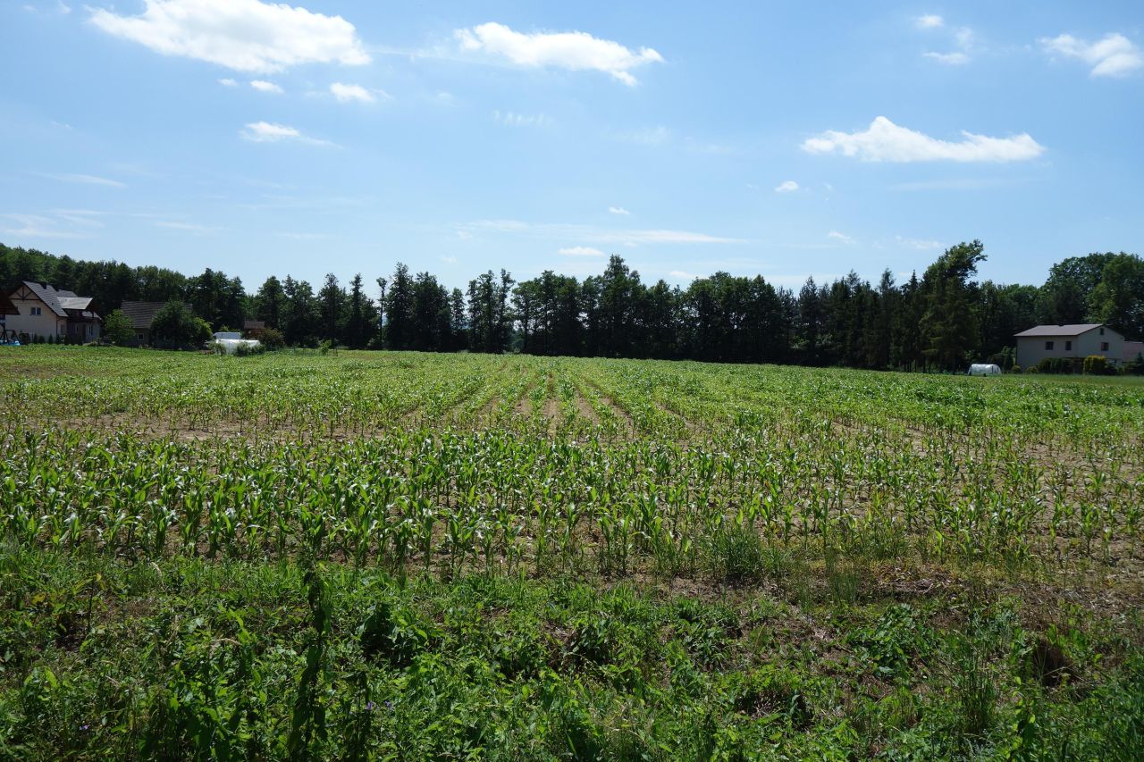 Działka budowlana Skoczów. Zdjęcie 4