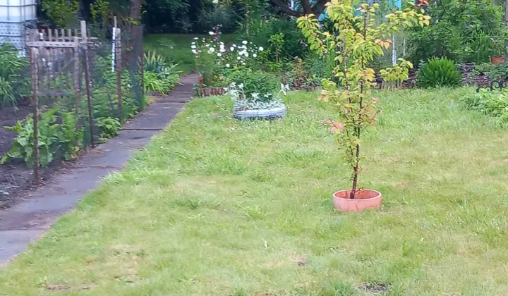 Działka rod Stargard Centrum, Drzymały