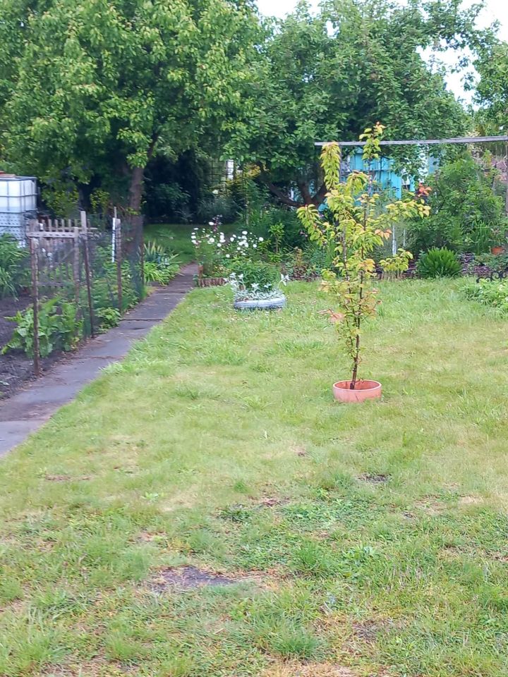 Działka rod Stargard Centrum, Drzymały. Zdjęcie 1