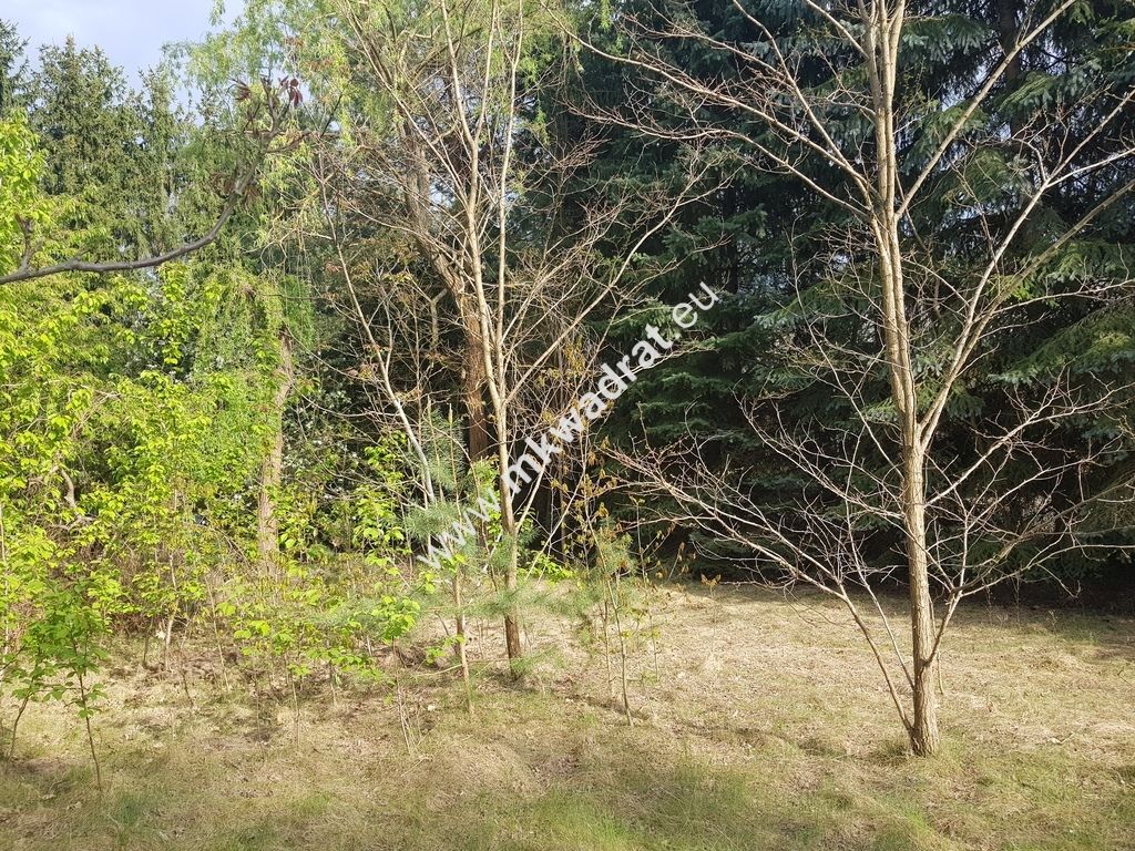 Działka budowlana Rozalin. Zdjęcie 7