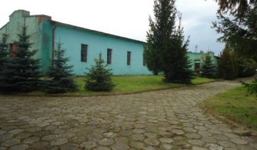 Hala/magazyn Ninków, Ninków. Zdjęcie 8