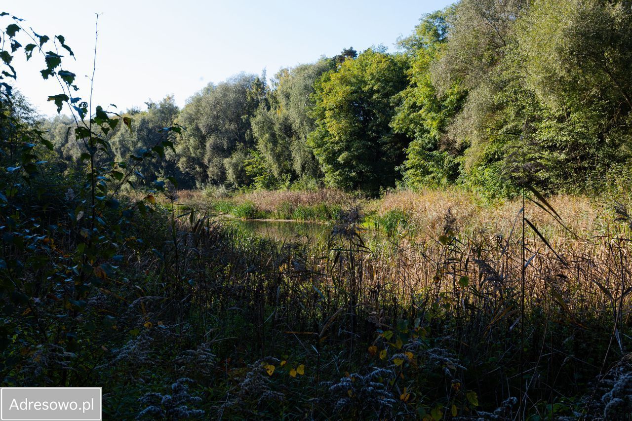 Działka budowlana Rosnówko. Zdjęcie 8