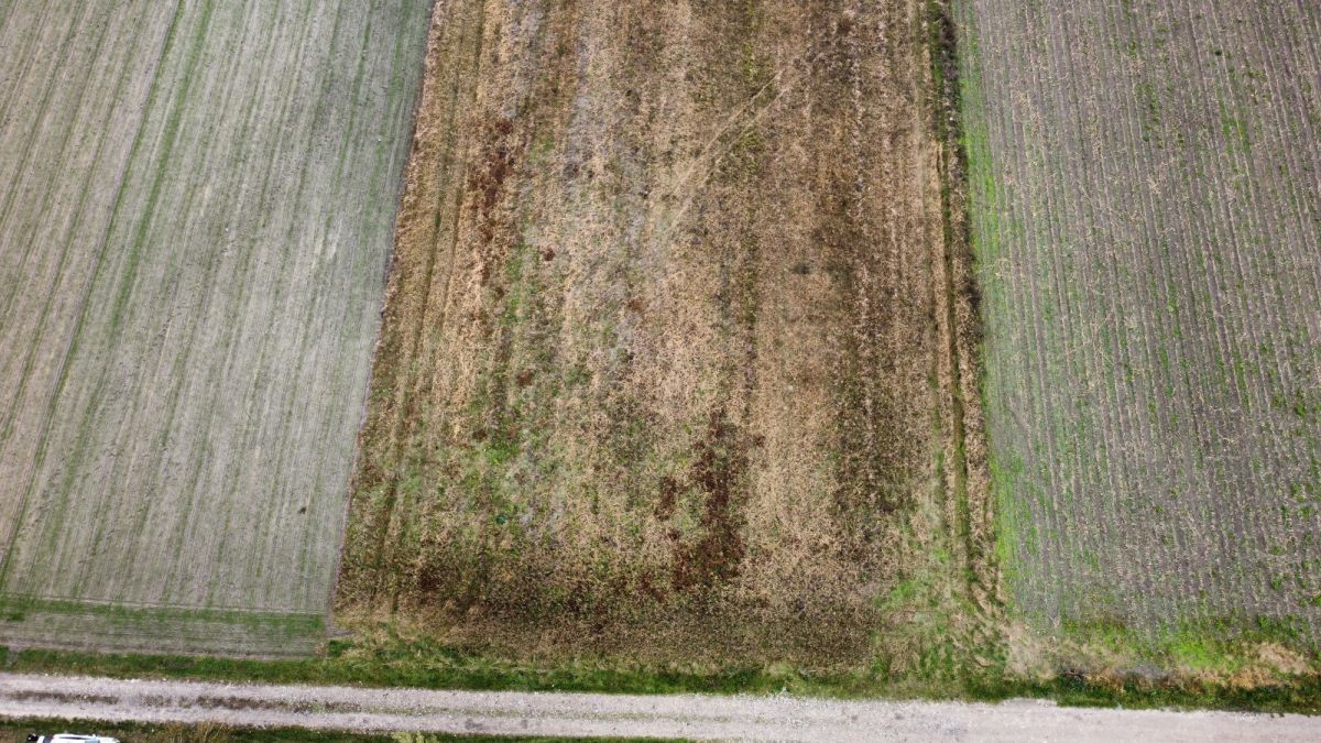 Działka inwestycyjna Rzakta, ul. Rolnicza. Zdjęcie 7