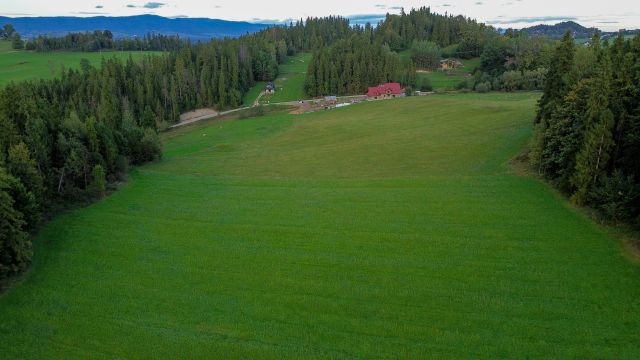 Działka rolno-budowlana Maruszyna. Zdjęcie 5