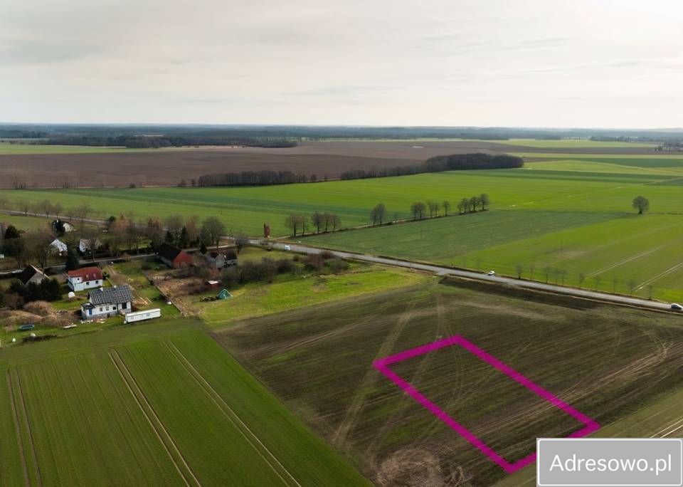 Działka rolna Paprotno. Zdjęcie 4