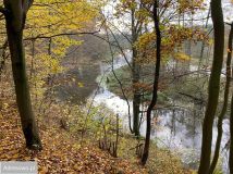 Działka rekreacyjna Joachimów-Mogiły, ul. Jaśminowa. Zdjęcie 2