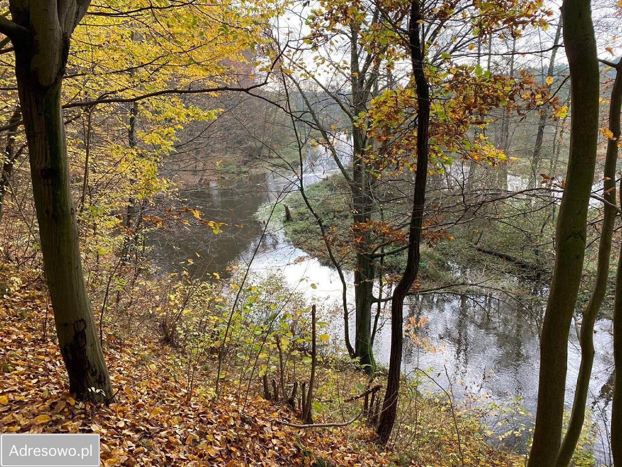 Działka rekreacyjna Joachimów-Mogiły, ul. Jaśminowa. Zdjęcie 3