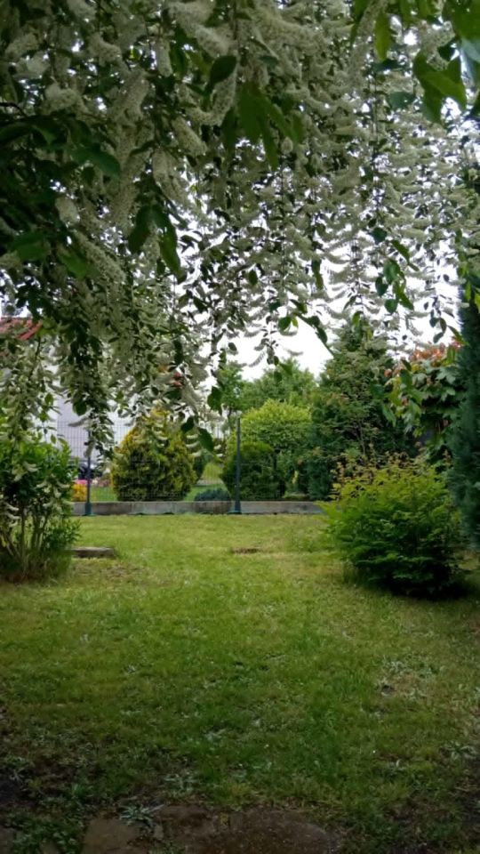 dom wolnostojący, 6 pokoi Oborniki Śląskie, ul. kard. Stefana Wyszyńskiego. Zdjęcie 8