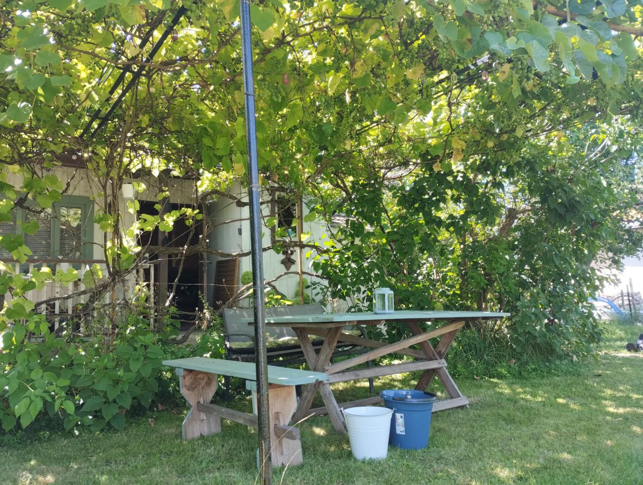Działka rod Pyrzyce, ul. Żwirki i Wigury. Zdjęcie 14