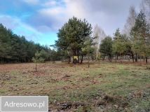 Działka budowlana Szymanówek Biała, ul. Aleja Grzybowa. Zdjęcie 4