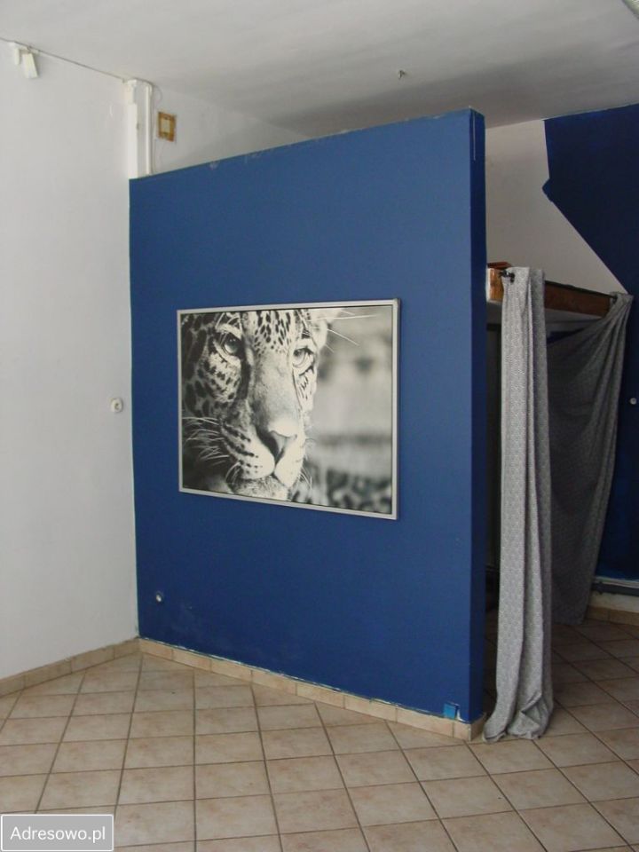 Lokal Wrocław Krzyki, ul. Tadeusza Kościuszki. Zdjęcie 5