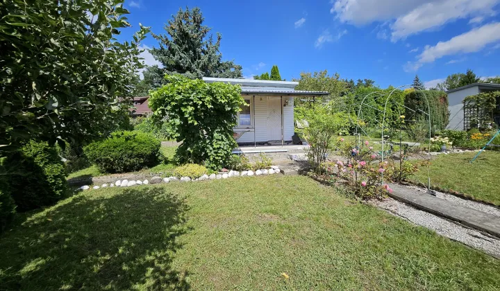 Działka rod Włocławek Lisek