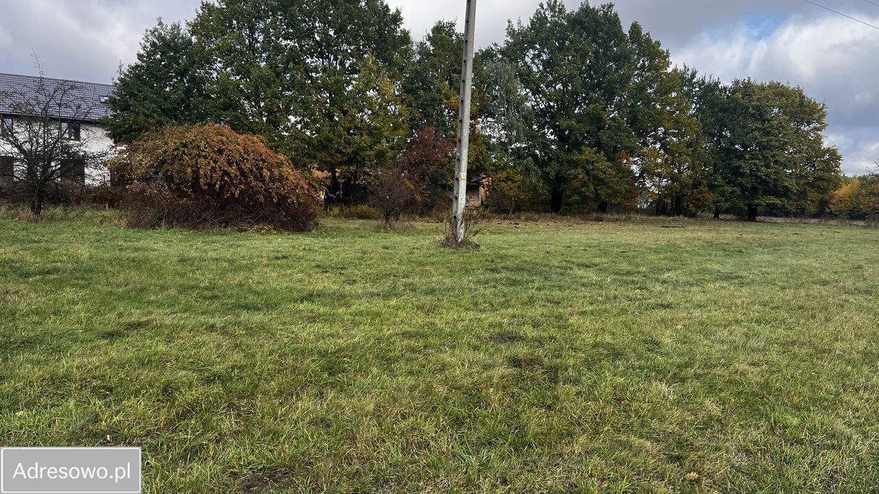 Działka budowlana Grodzisk Mazowiecki, ul. Jordanowicka. Zdjęcie 14