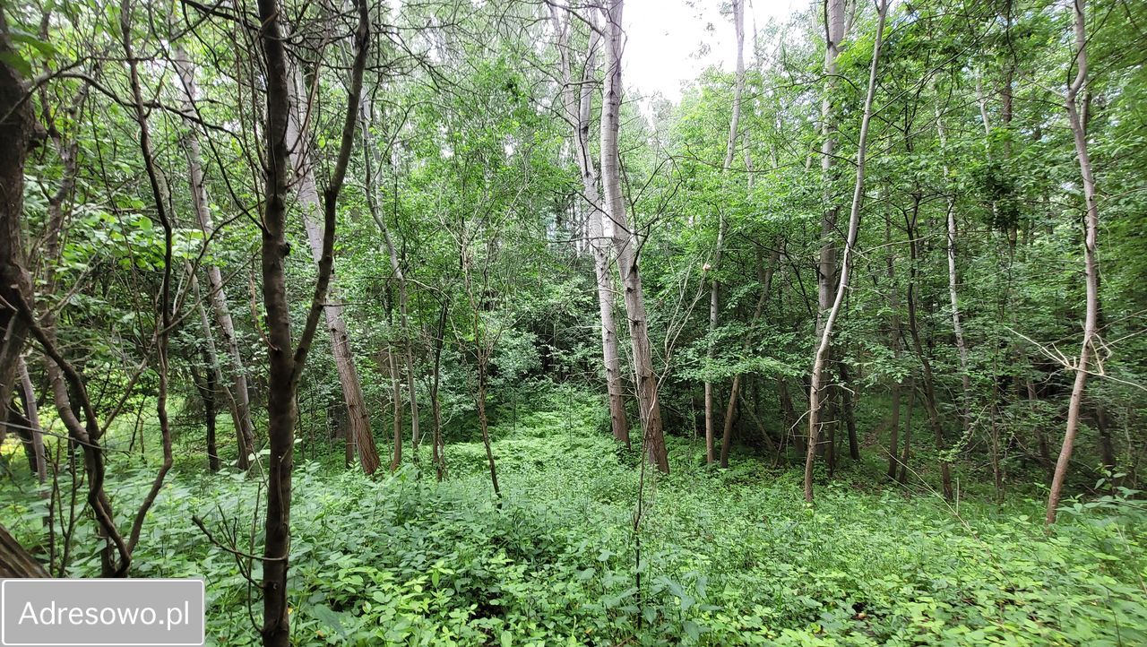 dom wolnostojący, 3 pokoje Suchedniów, ul. Leśna. Zdjęcie 7
