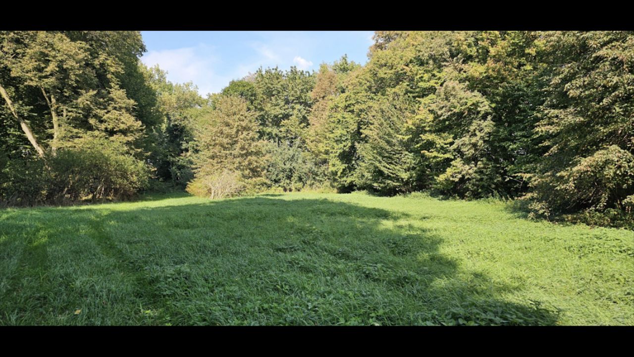 Działka budowlana Kiełki. Zdjęcie 8