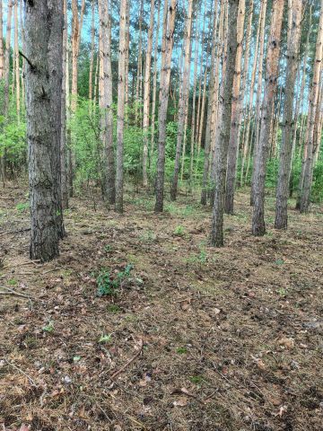 Działka inna Gorzewo, -. Zdjęcie 1