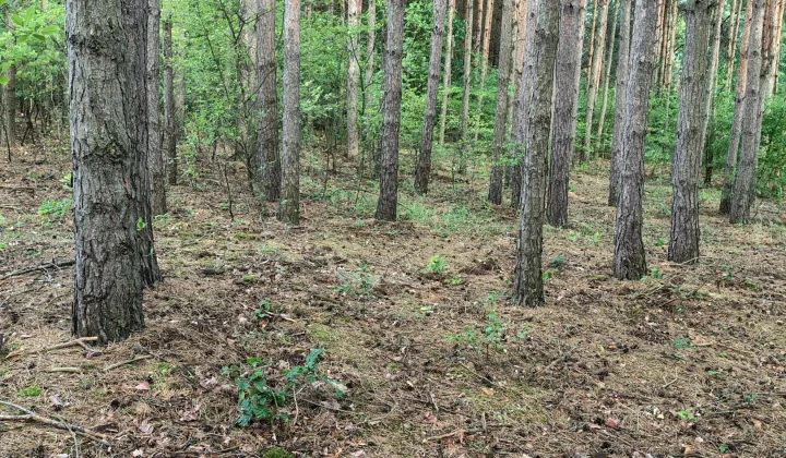 Działka inna Gorzewo, -