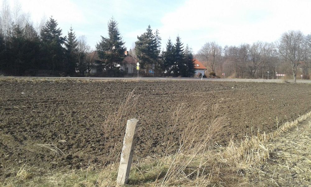 Działka rolno-budowlana Sieniawka. Zdjęcie 4