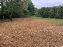 Działka rekreacyjna Boguchwałowice, ul. Kaczeńców. Zdjęcie 4