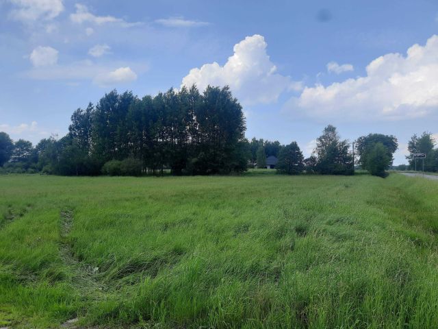 Działka rolno-budowlana Bratkowice. Zdjęcie 1