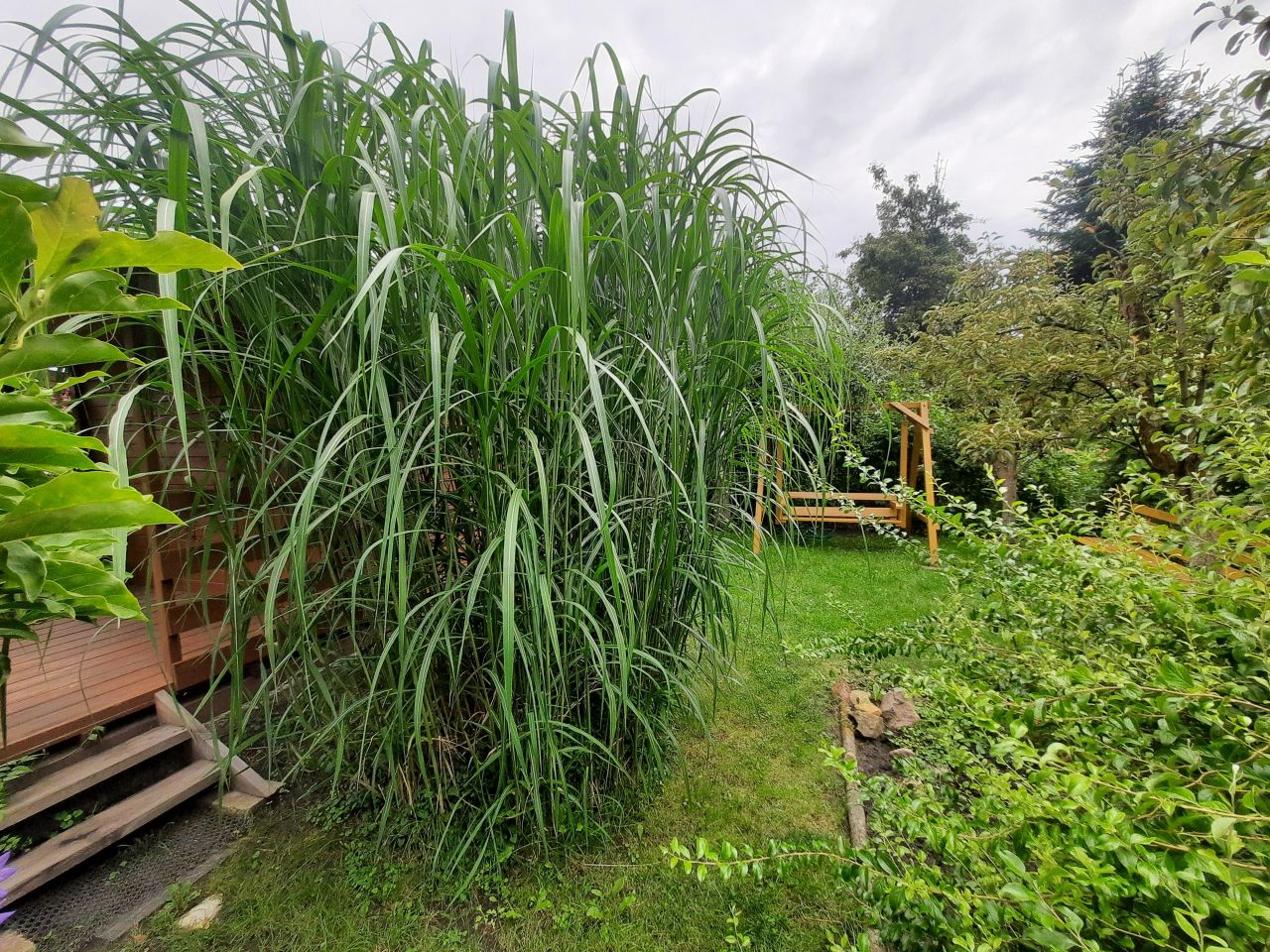 Działka rod Tarnobrzeg Wielopole, ul. Gruntowa. Zdjęcie 8