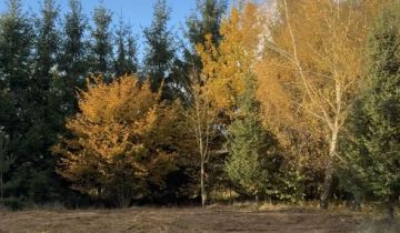 Działka budowlana Dołuje, ul. Daniela