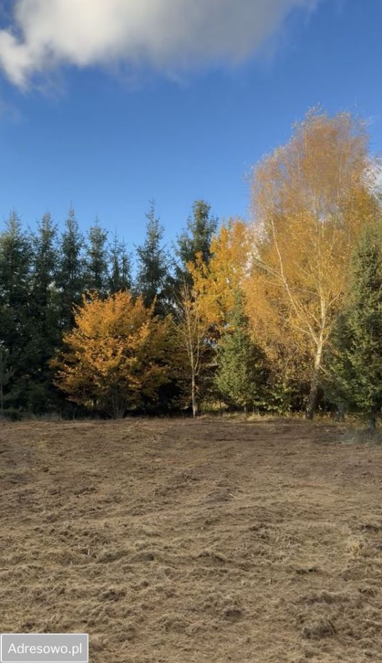 Działka budowlana Dołuje, ul. Daniela